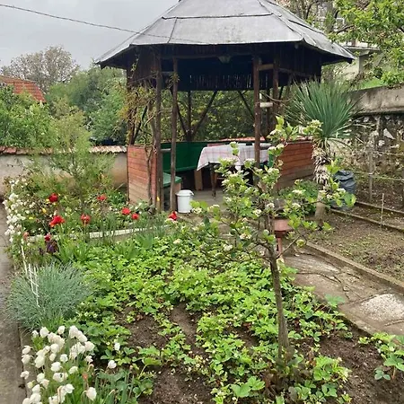 Venera Διαμέρισμα Βέλινγκραντ